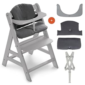 hauck Hochstuhl Alpha+ - Mitwachsender Holz-Kinderhochstuhl, höhenverstellbar, mit Sitzkissen, Schutzbügel & Gurt ab 6 Monaten - Grau