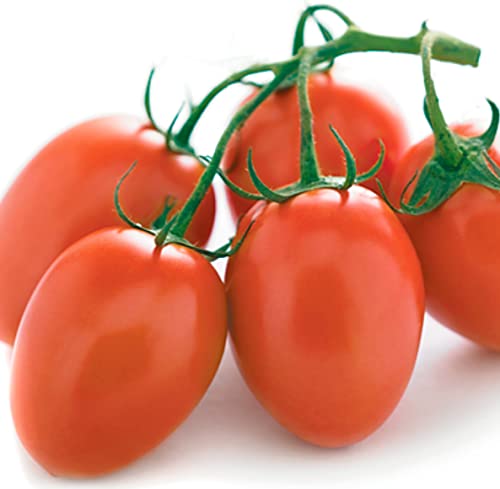 Roma VF Tomato Seeds for Planting - Heirloom Non-GMO Vegetable Seeds - Classic Italian Plum Paste Tomatoes for Canning & Sauce - High Germination Determinate Variety - Disease Resistant (50ct+)