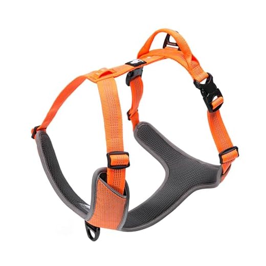 Chai's Choice Best New Outdoor Adventure No-Pull Dog Harness. 3M Reflective Vest with Handle and 2 Leash Attachments. Please Use Sizing Chart at Left Before Ordering. (X-Small, Orange)