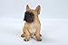 Hi-Line Gift Ltd Sitting French Bulldog Puppy,Brown, 7.75