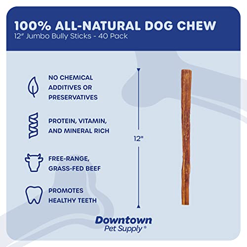 Downtown Pet Supply 12 Inch Jumbo Extra Thick Bully Sticks For Large Dogs, 50 Pack Of Single Ingredient, Rawhide-Free Long Lasting Dental Chews For Big And Medium Dogs #TOP1