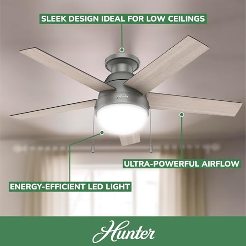 Image of Hunter Anslee, Indoor, Ceiling Fan, with LED Light, 46 inch, Matte Silver