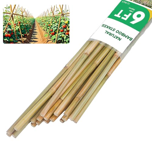 Groovboo Natural Bamboo Plant Stake6FT 15Pcs Sturdy Bamboo Poles Durable Plant Bamboo Stake Garden Climbing Plant Bracket.