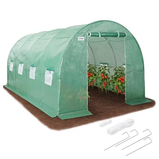 KANWOD Serre de Jardin Tunnel avec Fondation en Acier 4x2,5x2 m, 10 m² avec Porte et 9 Fenêtres, Serre Tomate résistante à l'hiver, Tunnel en Film UV4 140 g/m²