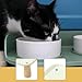 Leefasy Raised Pet Feeder Stand Cat Bowl to Waterproof Elevated Shelf Feeding Dish Holder for Food Dispenser, CreamColor 24x17x8cm