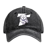 R and R Imports Truman State University Bears Officially Licensed Dad Hat - Unisex Baseball Cap Colorful Logo Black