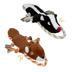 Dog Squeaky Toys, No Stuffing 2-Pack Dog Toys, Crinkle Plush Dog Toys to Keep Them Busy, Rope Dog Toys for Tug of War, Animal Shapes Dog Toys Bundle for Large, Medium and Small Dogs(Skunk, Squirrel)