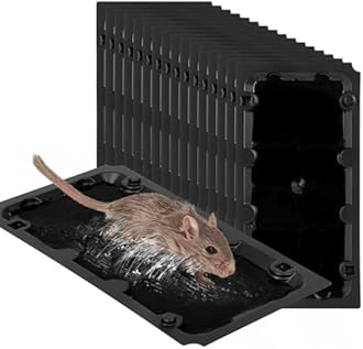 16 Pack Sticky Mouse Trap Rat Traps Indoor, Peanut Taste Pheromone Mouse Traps Indoor for Home, Glue Sticky Traps for Mice and Rats, Snake(Large Size)