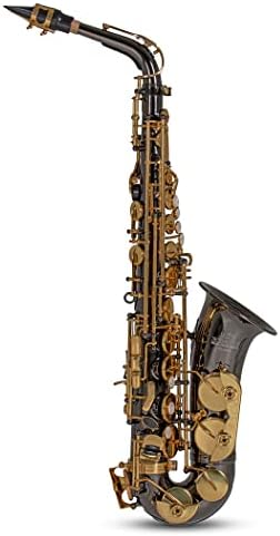Roy Benson Saxofón Mib-Alt AS-202K (cuerpo de latón de primera ca...