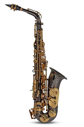 Roy Benson AS-202K Saxophone Alto Mib avec Etui Noir Cover