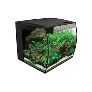 Fluval Flex 9 Aquarium Kit – Fish Tank for Fish & Plants – Comes with LED Lights, Filtration System & More – 36″ x 18″ x 18″ – 34 L, 9 Gal. – Black