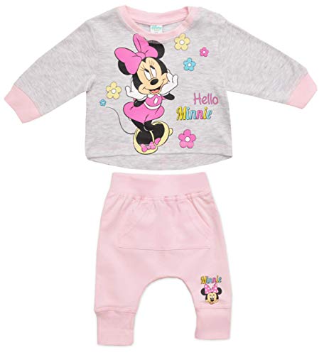 Preisvergleich Produktbild Disney Minnie Baby Bekleidungsset für Mädchen Gr. 18 Monate, grau