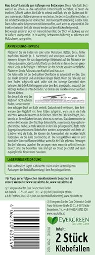 Nexa Lotte Bettwanzen Leimfalle, 2 Stück, effektive Bekämpfung und Prävention, Green