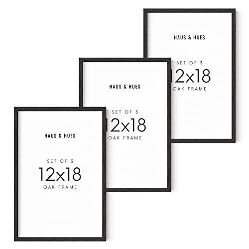 HAUS AND HUES 12x18 Black Oak Frame Set of 3 - Poster Display for Wall Art & Collage