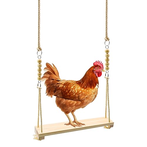 Chicken Swing Toy Chicken Toy Wood Chicken Swing Toy Wood Chicken Swing for Chickens Rooster Poultry Parrots