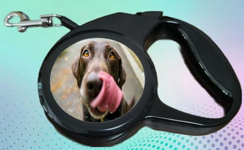 Retractable Dog Leash, Walking Lead for Dogs