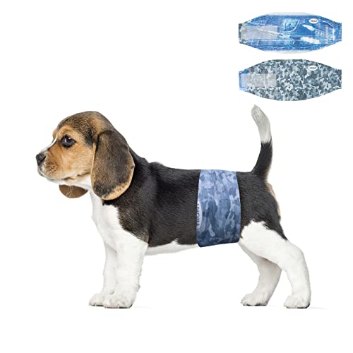 Dono Disposable Male Dog Wraps, Wider Doggie Puppy Male Diaper Male Wraps with Super Absorbent Leak-Proof Fit | Excitable Urination, Incontinence (XS) 48 Count