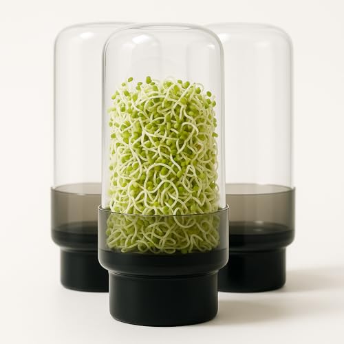 SOURCE AND SAGE Design Sprossenglas 750ml -3er Sprossen Anzuchtset-Keimglas für Sprossen aus Glas mâ€¦ – Miniatur