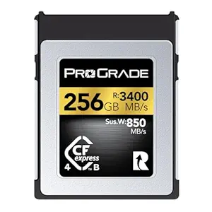 ProGrade Digital 256GB CFexpress 4.0 Memory Card (Gold)