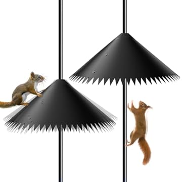 Squirrel Zapper Bird Feeder That Will Change Your Backyard Experience 2 squirrel zapper bird feeder