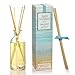 Urban Naturals Ocean Mist & Sea Salt Reed Diffuser Set | Made with Essential Oils & Real Seashells | Decorative Air Freshener Room Diffuser