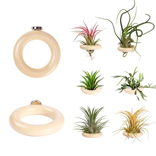 6 Pack Air Plant Holder Magnet Wooden Air Plant Display Stand Small Hanging Planter Wall Mount Holder for Live Tropical Tillandsia Fridge & Home Office Decoration Plants Not Included (6, Natural Wood)