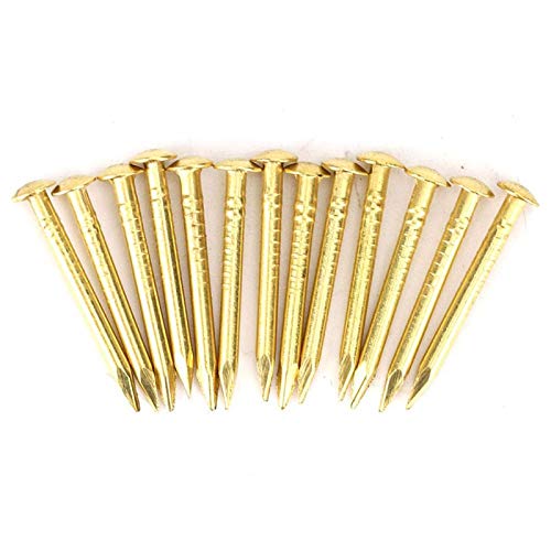 Brass Nails, 100 Pieces Round Head Gold Nails, Brass Wall Pins 10mm 15mm 18mm 22mm, Furniture Brass Tacks for Wood, for Hanging Picture Frame Mirror, Furniture Hinge Hardware Accessories(18mm)