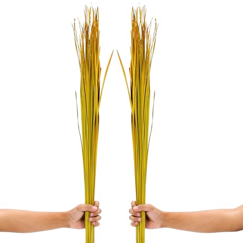 Image of Leewadee Tall Vase Filler , Natural Grass Stems - 2 Bunches of Colored Branches for Vases, Carefully Dried Twigs for Home and Bar Decoration, 45 inches, Yellow