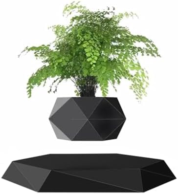 Magnetic Levitating Flower Pot
