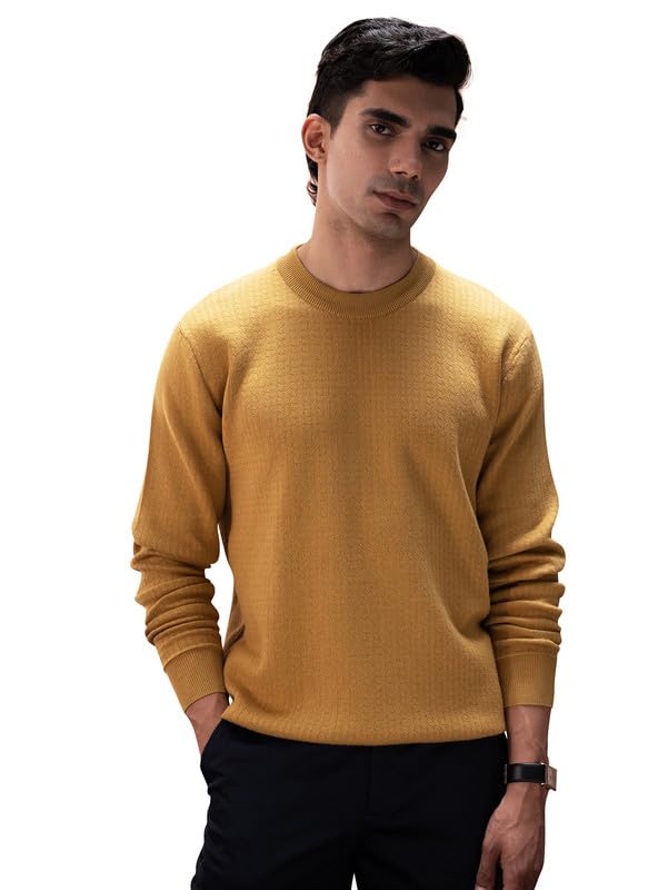 andamen Men Casual Structured Cotton Regular Fit Pullover-picture-30