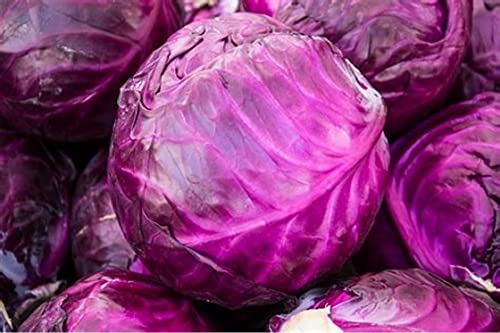 How to cook red cabbage for roast dinner How to cook red cabbage for roast dinner
