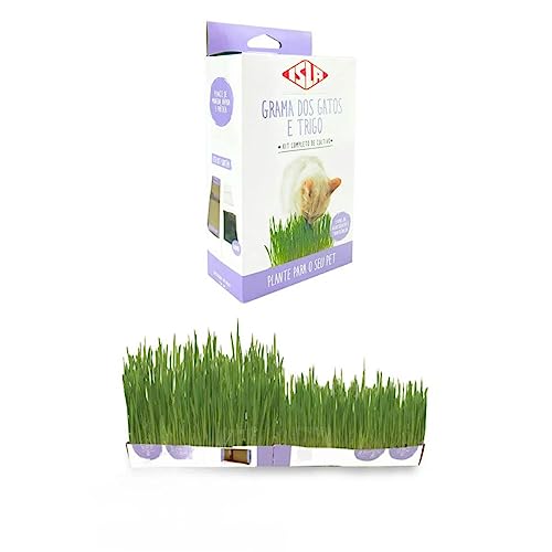 Kit de Cultivo Grama de Gato e Trigo (Linha Pet) ISLA