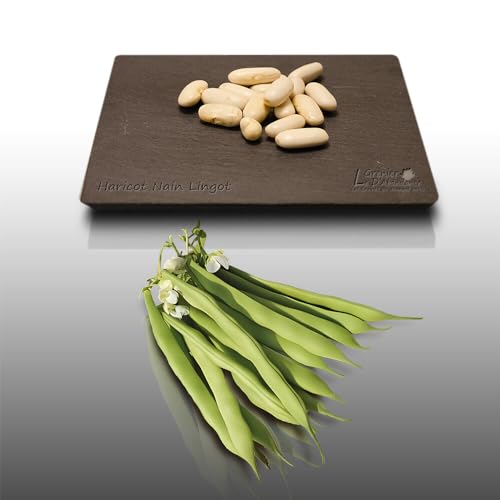 75 grammes de graines à semer - Le Grenier d'Abondance - HARICOT Nain Lingot - Phaseolus vulgaris