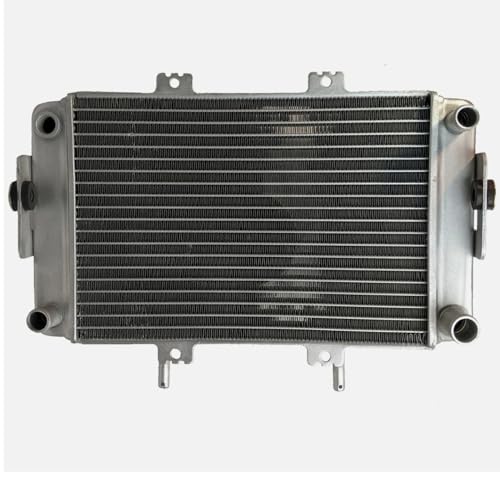Radiador B-Yang F-ishen 300cc D300 de alta resistencia para sistemas térmicos ATV