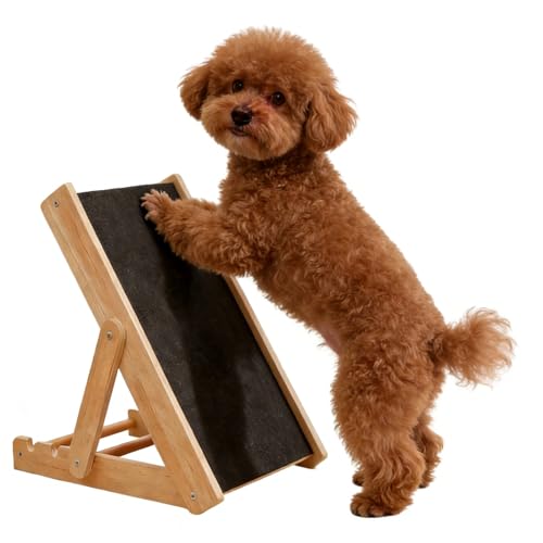 Tapis à gratter pour chien idéal dans un coin de jeu ou un salon d'appartement - 2