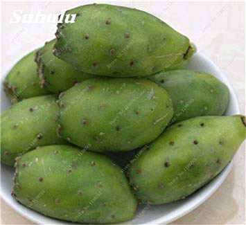 100 Pz Opuntia Semi di fico d'India Rare dolce alta nutritous Cactus commestibili frutti sani Flower Garden t Pianta grassa 7:Seeds Only