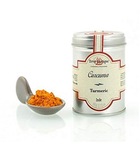 Terre Exotique - Cúrcuma en polvo 60 g - Caja de: 6 unidades