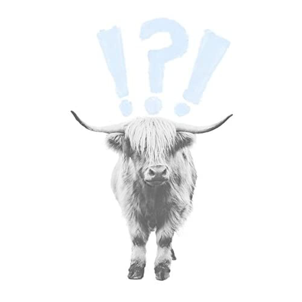 Wee Blue Coo Scottish Highland Hairy Coo Cow Surprised Expression Scotland Art Print