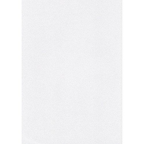 エスケント 色画用紙 ケント紙 スターライト 八切 ダイヤモンド 100枚 5008790