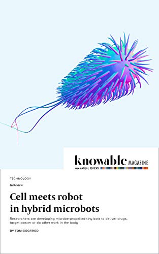 Cell meets robot in hybrid microbots (Knowable Magazine) (English Edition)