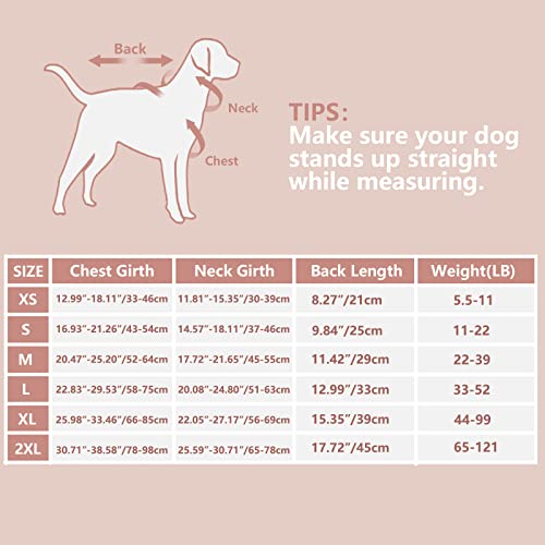 Asenku Dog Life Jacket, Float Life Vest For Dogs With Handle, Lightweight Puppy Swimsuit For Swimming Boating, Pet Life Preserver With Reflective Stripes For Small Medium Large Dogs #TOP6