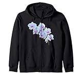 Stylish Gorgeous Orchids Flowers Shapes Mania