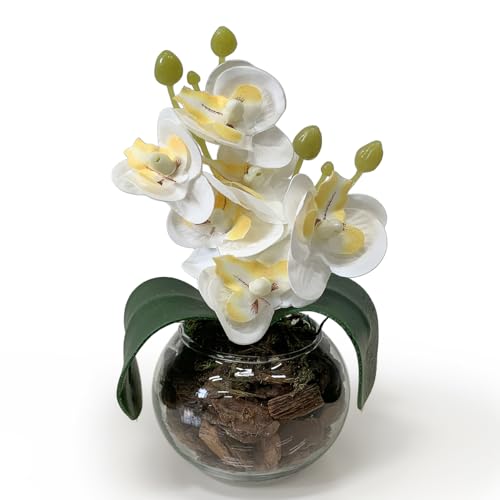 Arranjo Mini Flor Orquidea Artificial no Vaso de Vidro Transparente com Casca - Decoração Sofisticada