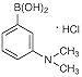 TCI America: 3-(Dimethylamino) phenylboronic Acid Hydrochloride, D4013-5G