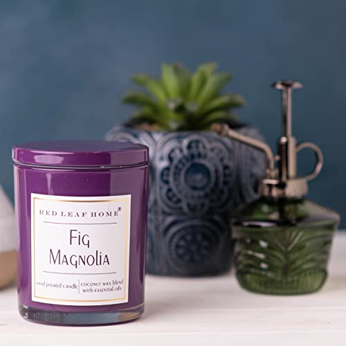 Red Leaf Home | Fig Magnolia Candle | Glass Lid, Medium | Aromatherapy | Signature Collection| 11Oz Jar #TOP1