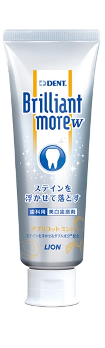 ライオン歯科材 ブリリアントモア ダブル シトラスミント