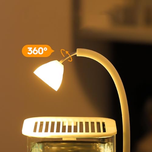 Aquarium petit crabe au design élégant avec éclairage de bureau - 5