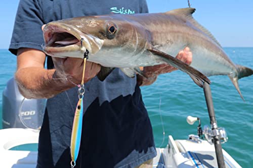 Palomar Fishing Flat Side 75g Ocean Jig Fast Vertical Deep Drop Lure | MUSTAD Hook-Owner Ring | Kevlar Assist Cord | 6-Pack | Next-Gen Graphene Paint | US Owned