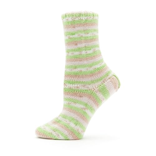 Image of Premier Yarns Fruits, Acrylic Sock Yarn, 2-Pack Bundled with Bella's Crafts Stitch Markers (Kiwi)