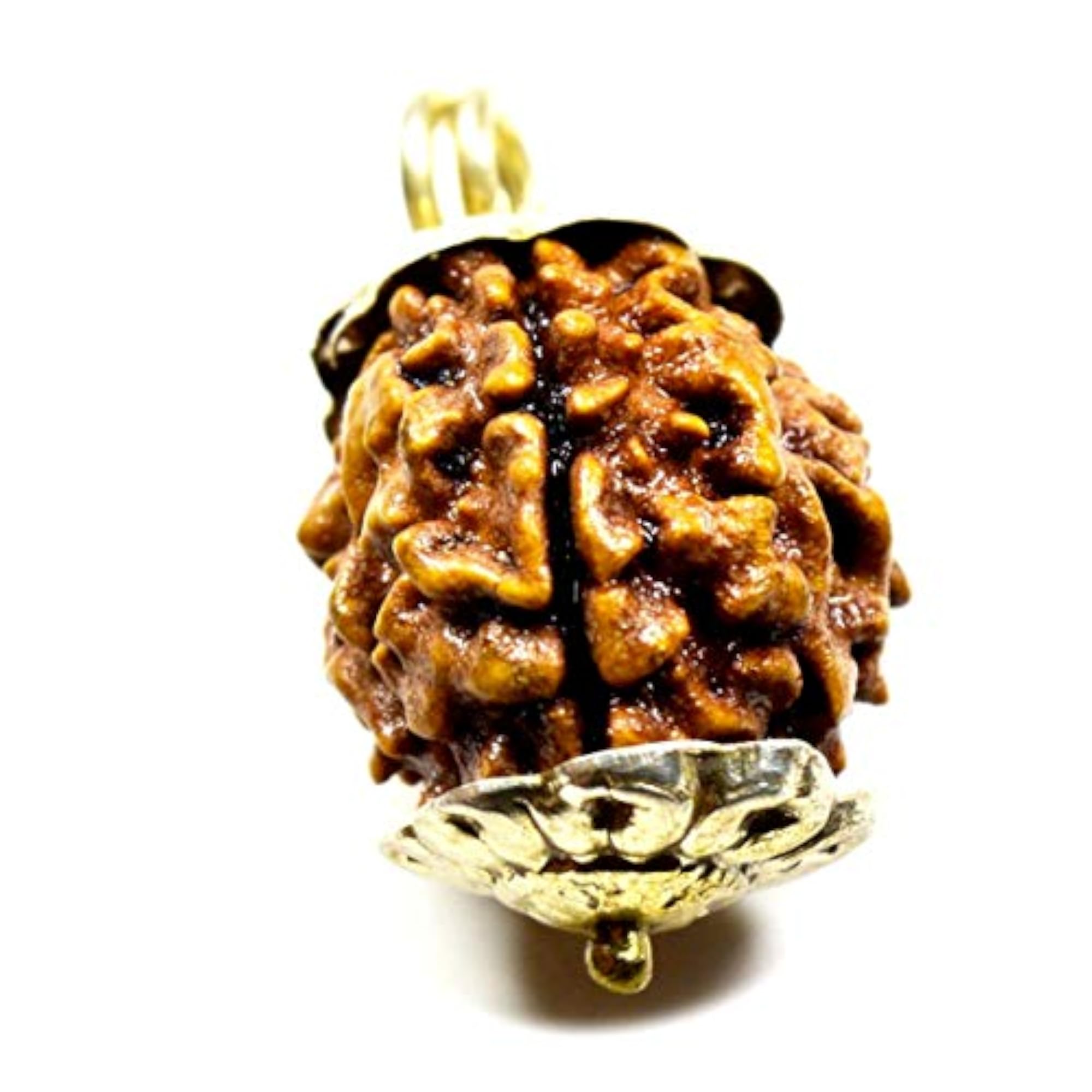 Certified Natural 3 Mukhi Rudraksha Sterling Silver Pendant